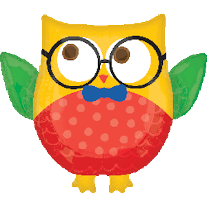 Hip Hip Hooray Grad Owl Balloon