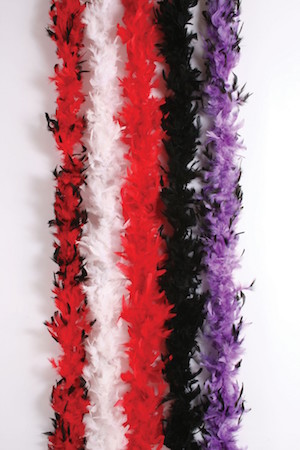 5' Feather Boa