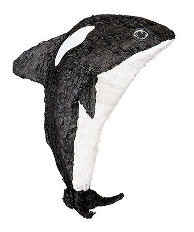 Killer Whale Pinata