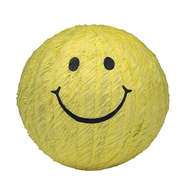 Smile Ball Pinata